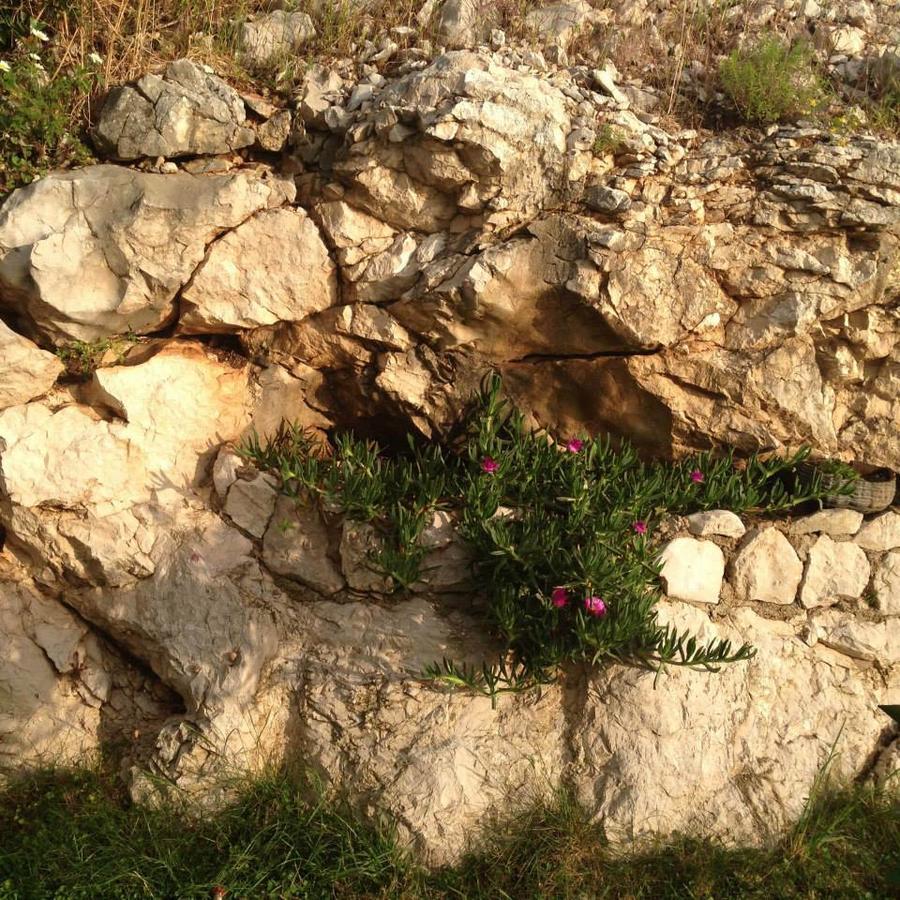 Apartments Leona Neum Luaran gambar