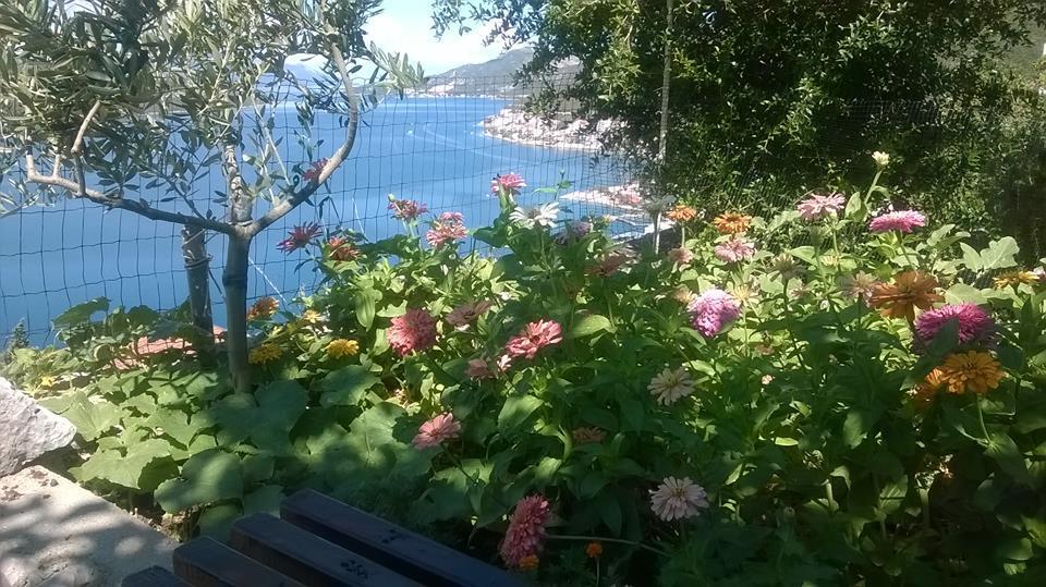 Apartments Leona Neum Luaran gambar